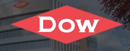 Práctica profesional supervisada DOW